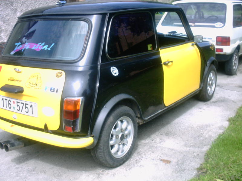 Mini 1000 (3).jpg