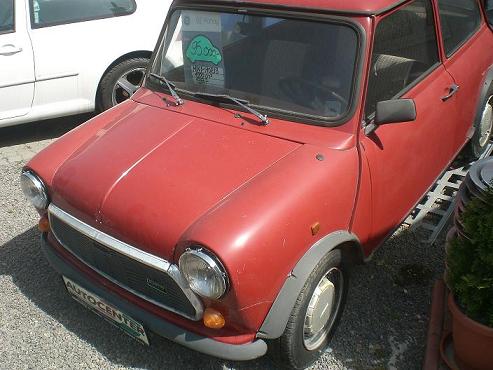 01. Minik v bazari november ´08.jpg