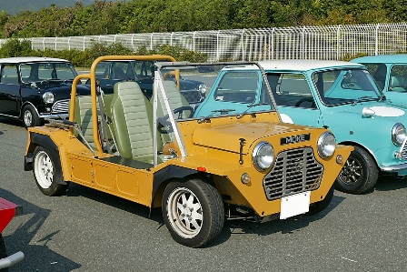 mini_moke_001.jpg