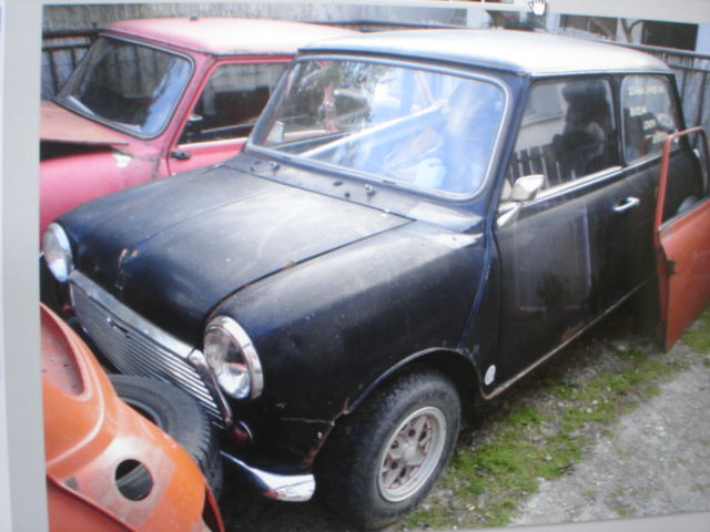 Mini 009.jpg