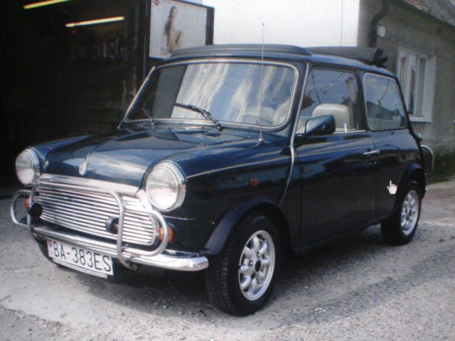 Mini 001.jpg