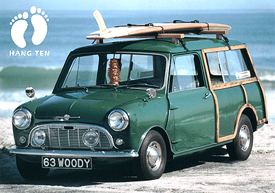 mini surf.gif