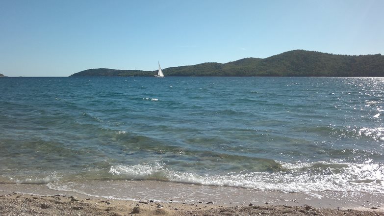 2013-09-13-346.jpg
