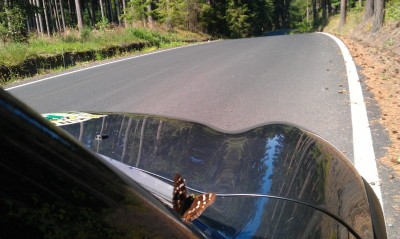 IMAG3474.jpg (104.81 KiB) Zobrazeno 19181 krát IMAG3474.jpg