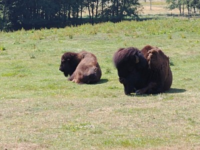 received_253145295303016.jpeg (211.36 KiB) Zobrazeno 35599 krát received_253145295303016.jpeg