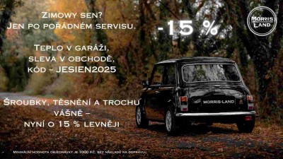 zleva zimowy sen.jpg