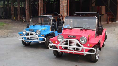 Blue and Pink moke.jpg