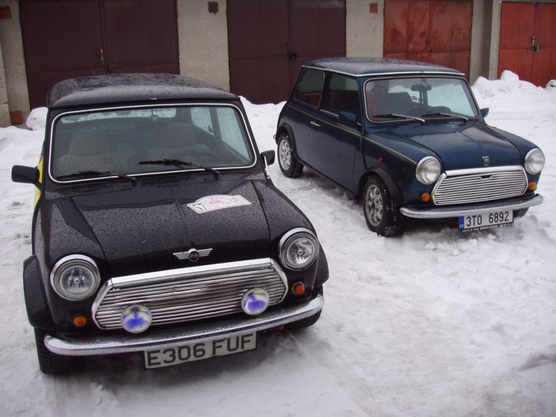 small Mini 10005.jpg