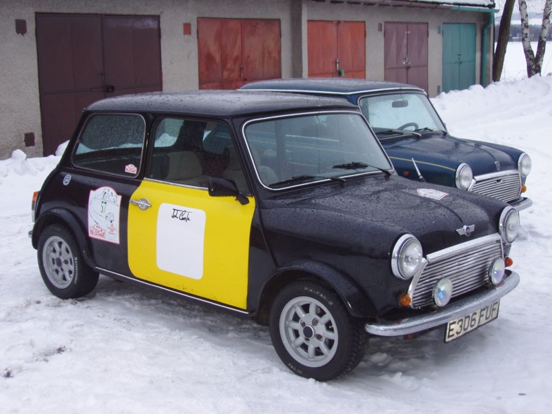 small Mini 10004.jpg