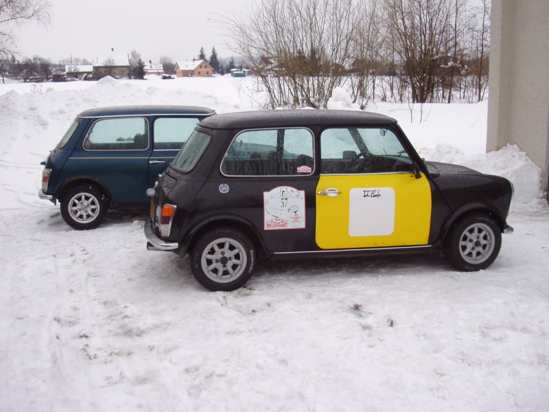 small Mini 10003.jpg