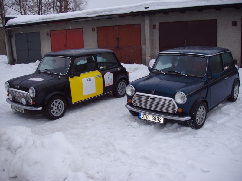 small Mini 10001.jpg