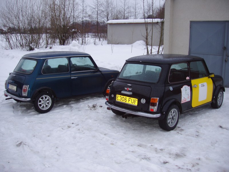 small Mini 10002.jpg